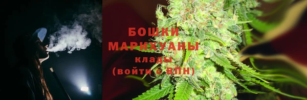 apvp Ельня