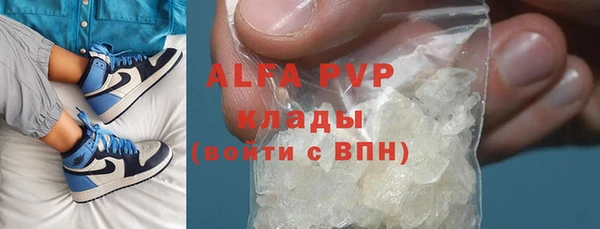 apvp Ельня