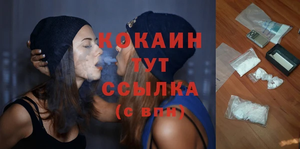 apvp Ельня