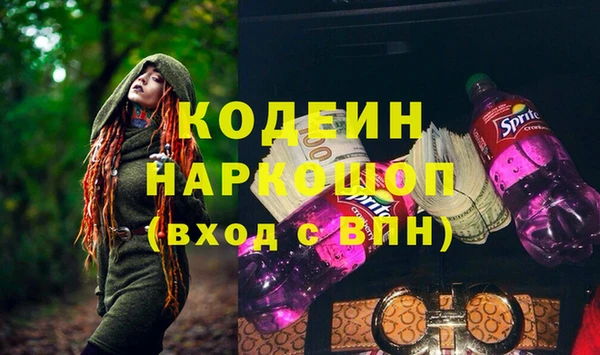 apvp Ельня