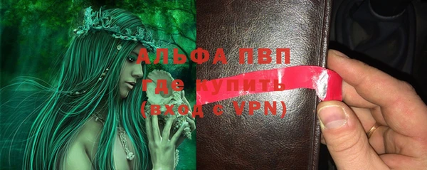 apvp Ельня