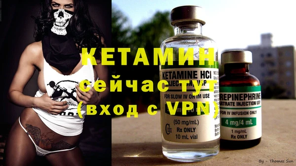 apvp Ельня