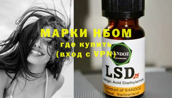 apvp Ельня