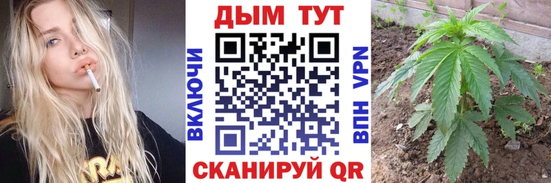 Каннабис OG Kush  Купить закладки  Салехард 
